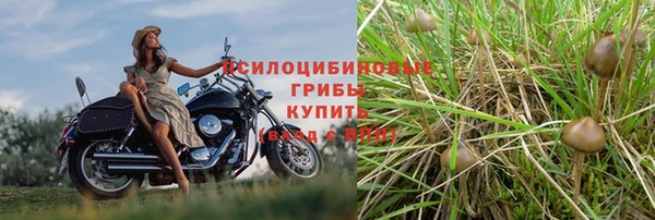 стафф Киренск