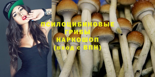 дурь Кинешма
