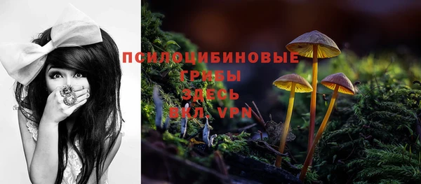 дурь Кинешма